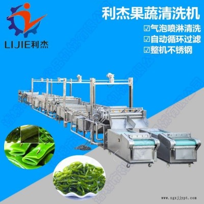 利杰LJ-6000清洗機 果蔬清洗機 蔬菜清洗機 清洗機械 海帶全自動清洗機/機械手海帶專用清洗機/多功能清洗風(fēng)干流水線