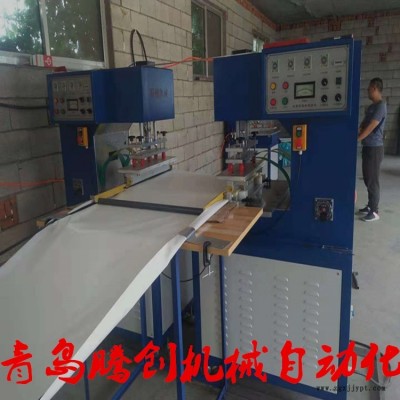 青島騰創(chuàng)牌清糞輸送帶高頻全自動設(shè)備