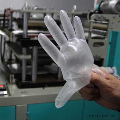 莒縣寶康(圖)-tpe手套工廠-tpe手套