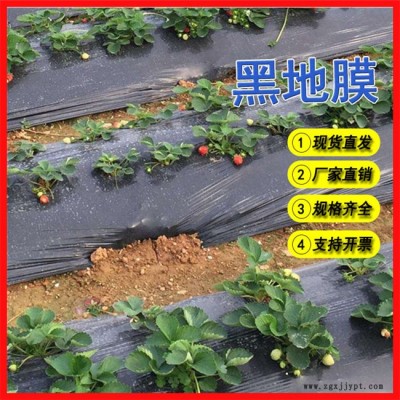 農用插秧膜生產商-農用插秧膜-萬德包裝塑料廠