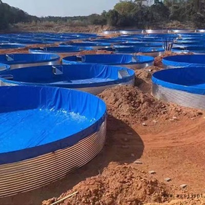 養(yǎng)殖水池布供應(yīng)商-浙江養(yǎng)殖水池布-合肥查氏l防水防霉(查看)