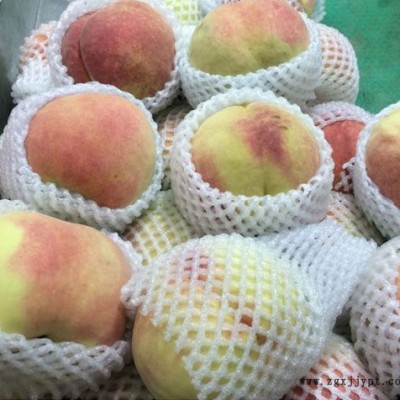 彩色發(fā)泡網(wǎng)機組廠家-發(fā)泡網(wǎng)機-龍口云生網(wǎng)套機質(zhì)量好(查看)