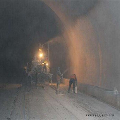 隧道防火涂料公司-太原隧道防火涂料-河北標(biāo)馬(查看)