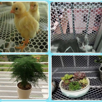 塑料網(wǎng)機(jī)器廠家-塑料網(wǎng)機(jī)器-山東洪力達(dá)產(chǎn)品質(zhì)量好