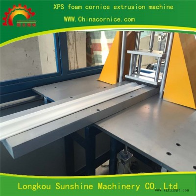 EPS泡沫線條設(shè)計(jì)-泡沫線條-龍口陽光機(jī)械有信譽(yù)