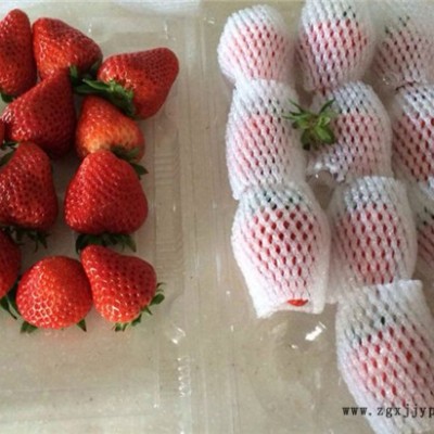 發(fā)泡網(wǎng)機(jī)價(jià)格-龍口云生包裝機(jī)械-發(fā)泡網(wǎng)機(jī)