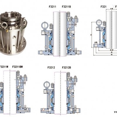 F321B系列型頂入攪拌器低、中壓集裝式密封