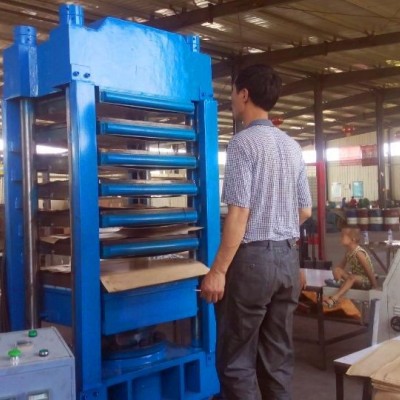 漁具碳素成型機(jī)，多層橡膠平板硫化機(jī)