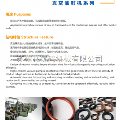立式真空油封硫化機價格