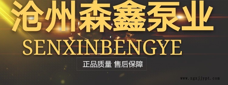 廠家直銷RY50-32-160 風冷式耐高溫導熱油泵 現(xiàn)貨熱賣 離心泵示例圖1