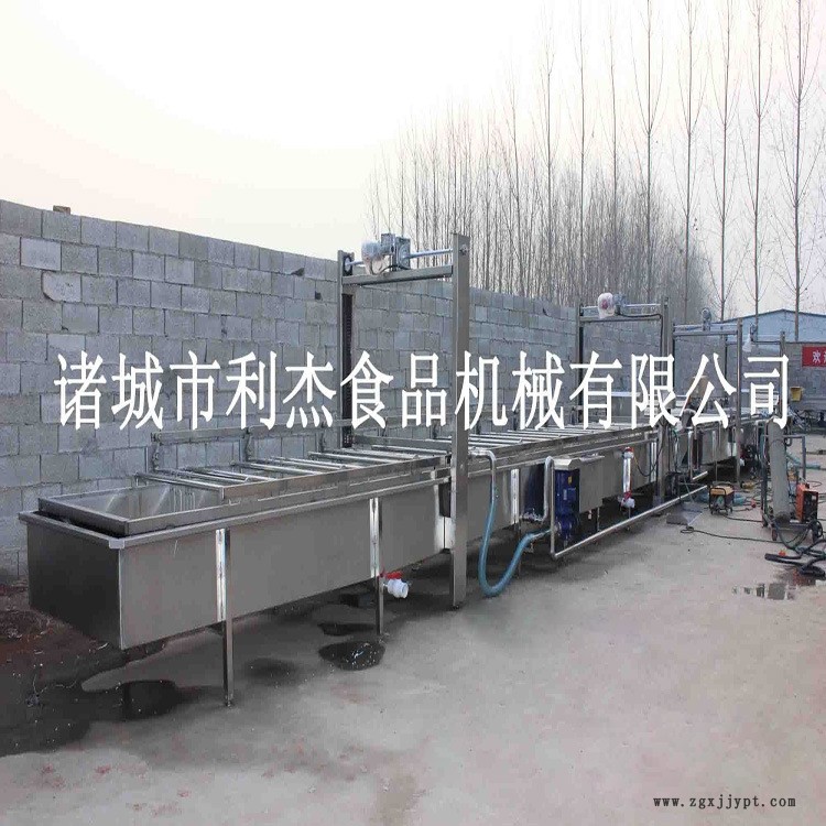 海帶清洗風干流水線/全自動機械手海帶清洗機/清洗風干成套設備示例圖5