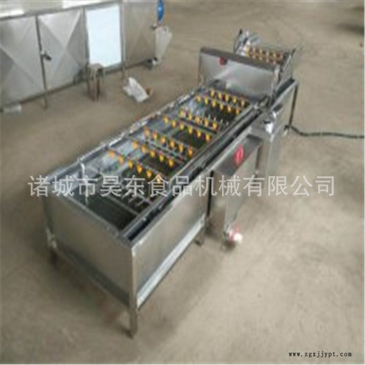 海帶專用清洗機(jī) 機(jī)械手海帶清洗機(jī) 裙帶菜機(jī)械手清洗機(jī)示例圖1