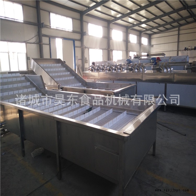 海帶專用清洗機(jī) 機(jī)械手海帶清洗機(jī) 裙帶菜機(jī)械手清洗機(jī)示例圖2